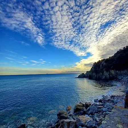 Aurora فاراتسي